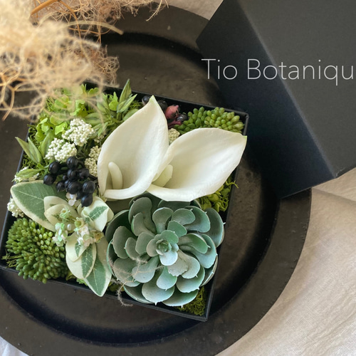 空気をキレイにするお花】ボタニカルフラワーボックス#2 ボックス