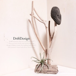 〜Drift Design〜　キレイめ流木のお洒落な大型デザインポールハンガー　ハットスタンド　帽子掛け　ポールスタンド 1枚目の画像