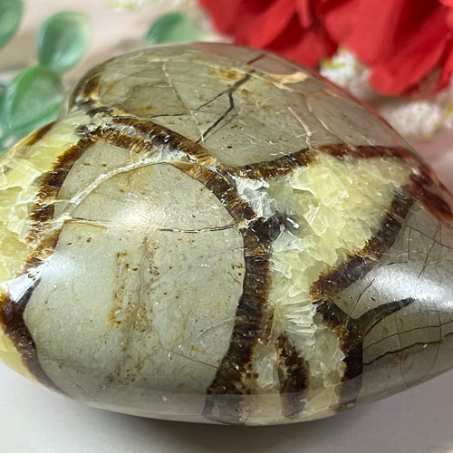 セプタリアン 特大サイズ卵 【公式通販】