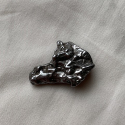 隕石　カンポ・デル・シエロ　大8　裏表両面が　犬の顔のように見えます 1枚目の画像