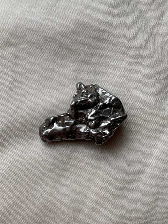 隕石　カンポ・デル・シエロ　大8　裏表両面が　犬の顔のように見えます 1枚目の画像