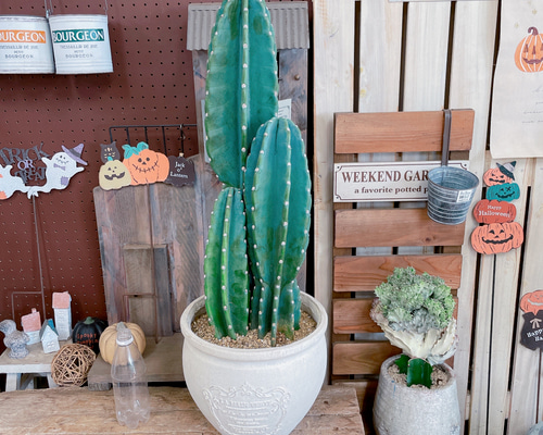 9808645fa52e5feebc0753c52d6fa7