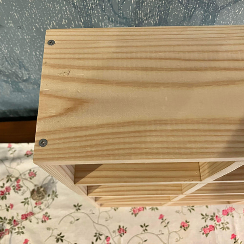 マス目のコレクション・ディスプレイ棚 棚・シェルフ・ラック ジオ