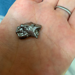 隕石　カンポ・デル・シエロ　大11　ライオン　シリウスのエネルギー 1枚目の画像