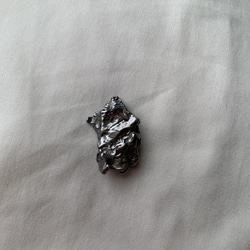 隕石　カンポ・デル・シエロ　大11　ライオン　シリウスのエネルギー 2枚目の画像