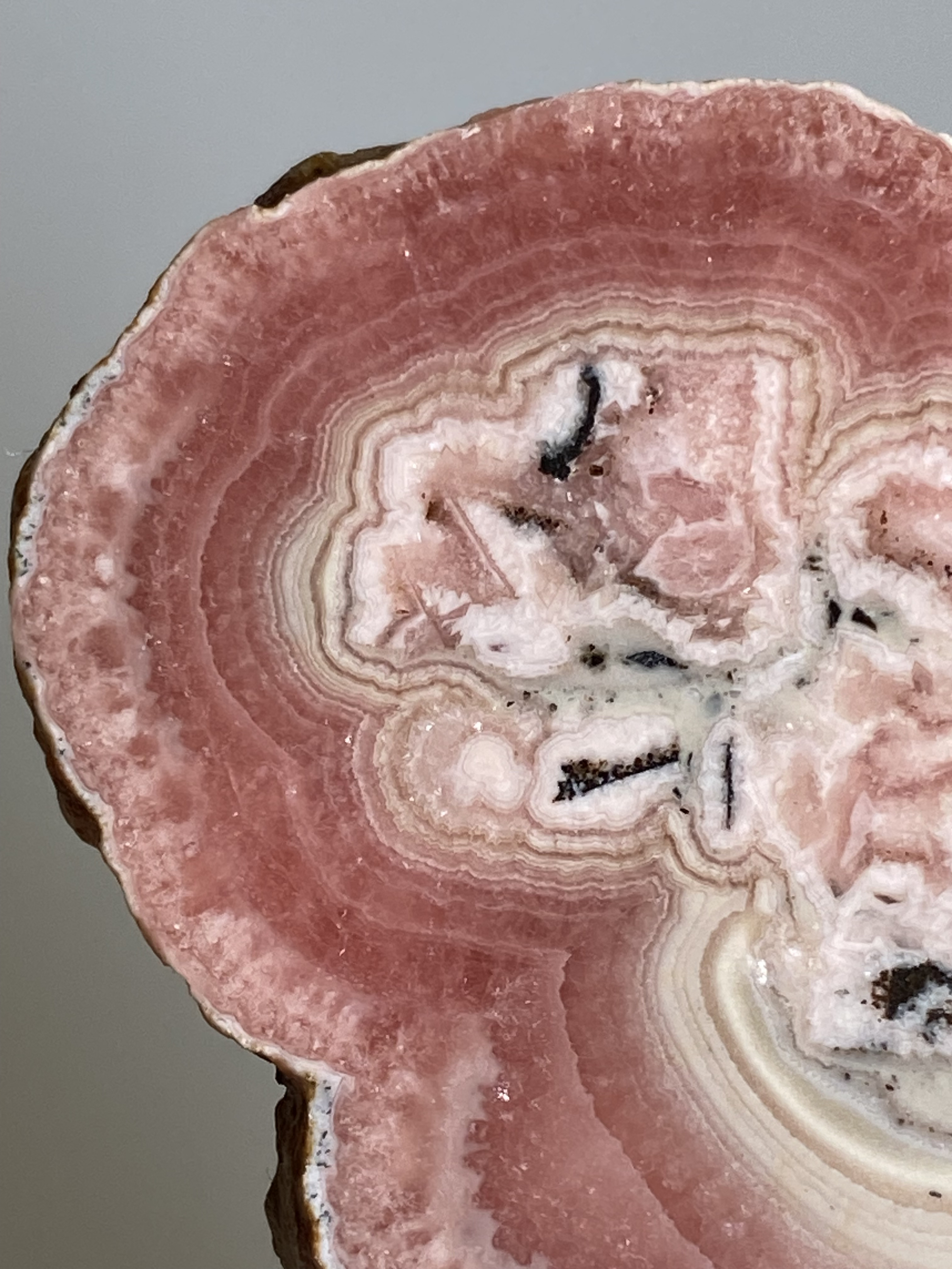 インカローズ★スライス