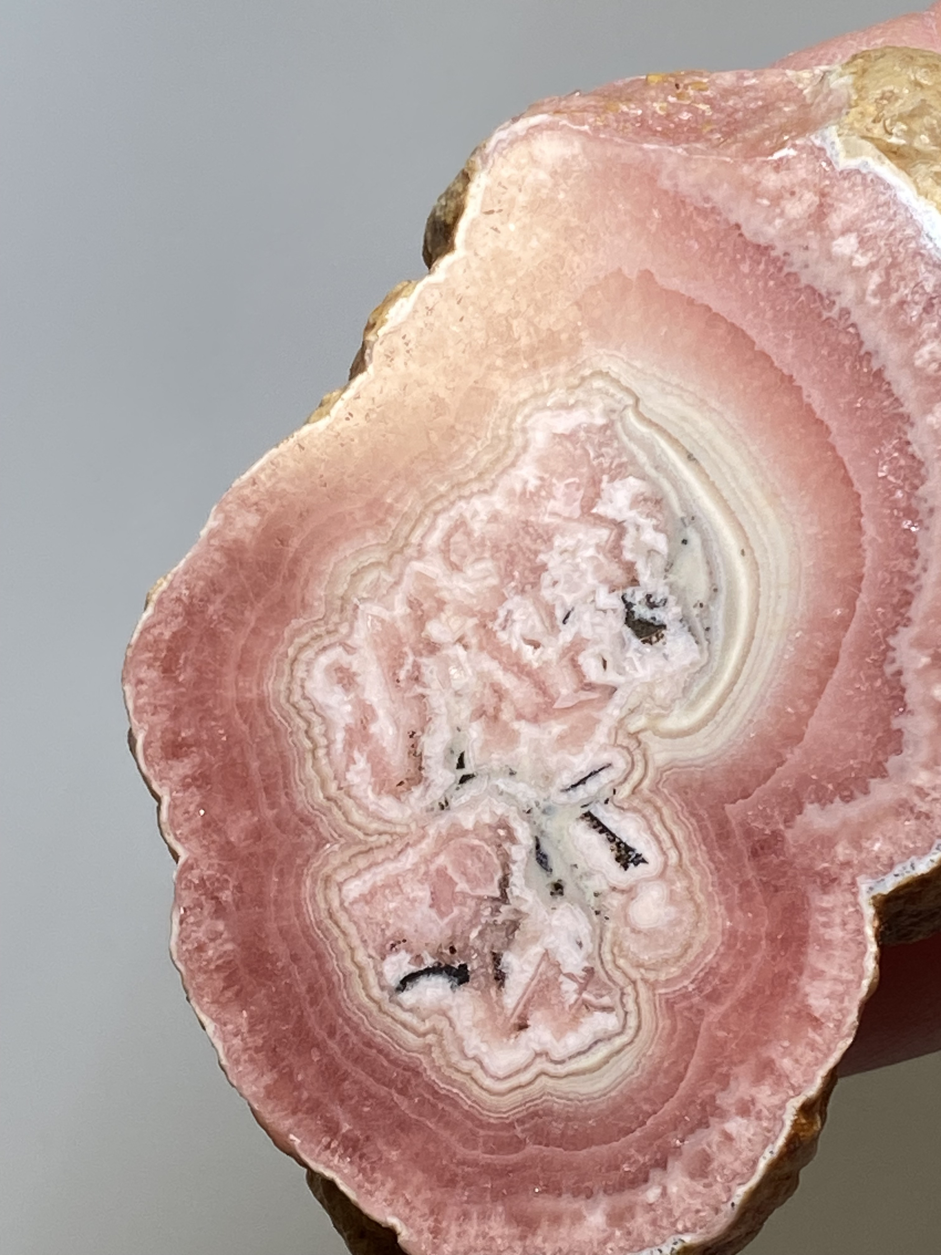 インカローズ★スライス