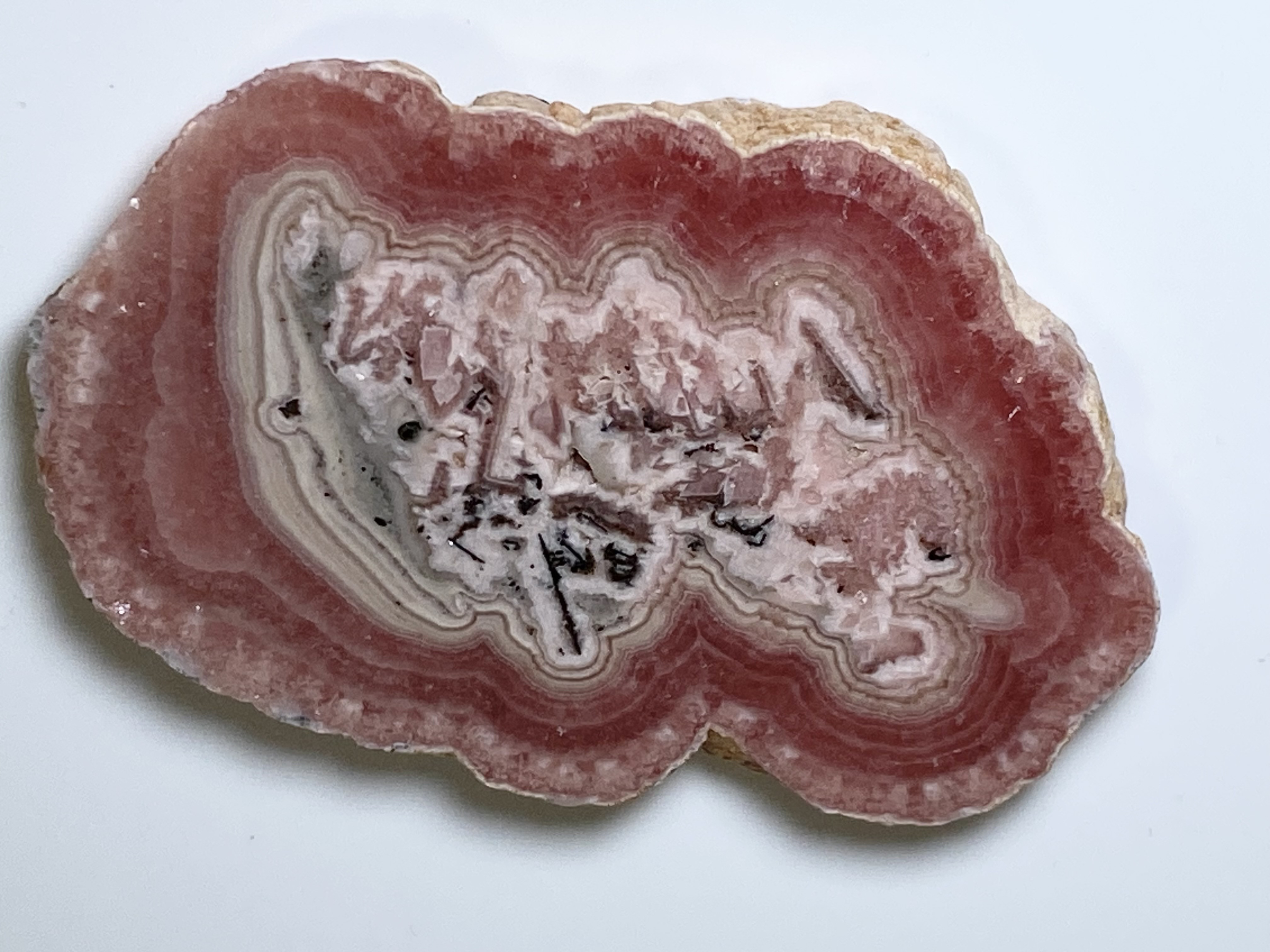 インカローズ★スライス