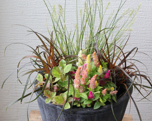 7990614f380f8827e2b66523c1dedf