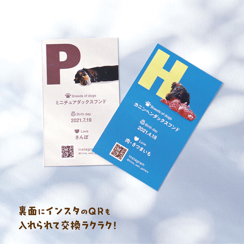 名刺〈ポップstyle〉☆犬猫 うちの子 ☆100枚入 ☆オーダーメイド