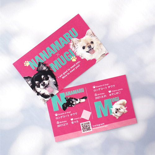 名刺〈ポップstyle〉☆犬猫 うちの子 ☆100枚入 ☆オーダー