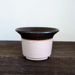 植木鉢陶器　多肉植物の魅力植木鉢　 「漆」＋「ピンクグレージュ」PARTー１ 3枚目の画像