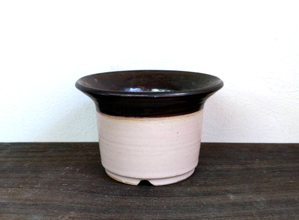 植木鉢陶器　多肉植物の魅力植木鉢　 「漆」＋「ピンクグレージュ」PARTー１ 4枚目の画像