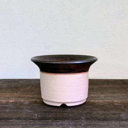 植木鉢陶器　多肉植物の魅力植木鉢　 「漆」＋「ピンクグレージュ」PARTー１ 2枚目の画像