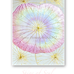 【一点もの】オシャレでユニークな蓮の葉ハッピーアート: The beauty of lotus leaf.虹、幸、癒し 1枚目の画像