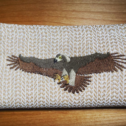 【理科シリーズ】イヌワシのランチョンマット（Lunch Cloth with golden eagle）各一枚 5枚目の画像