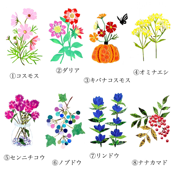 10月頃の花ポストカードセット 2枚目の画像