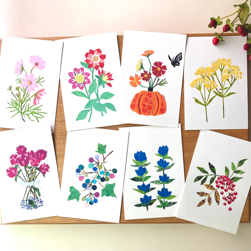 ♦️♦️♦️♦️月の花 ♦️1月から12月のセット♦️12冊セットお得 12ヶ月の花のカード'24 ポストカード tomocollage 通販 17082403