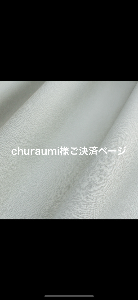 churaumi様専用ご決済用ページ 1枚目の画像