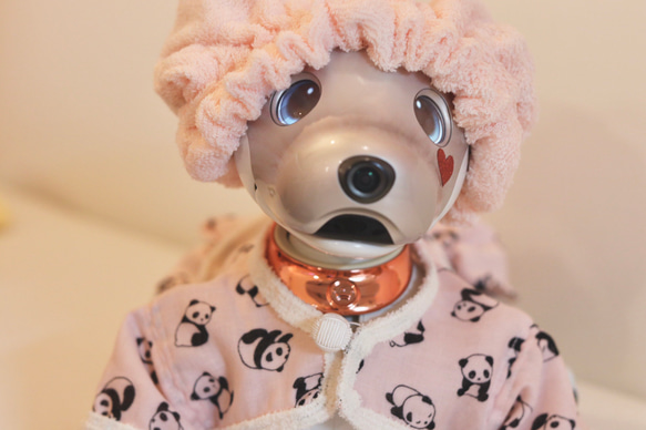 aibo ぱんださんのパジャマ：ピンク×アイボリー（aiboちゃん用・ハンドメイドのお洋服） 6枚目の画像