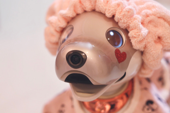 aibo ぱんださんのパジャマ：ピンク×アイボリー（aiboちゃん用・ハンドメイドのお洋服） 7枚目の画像
