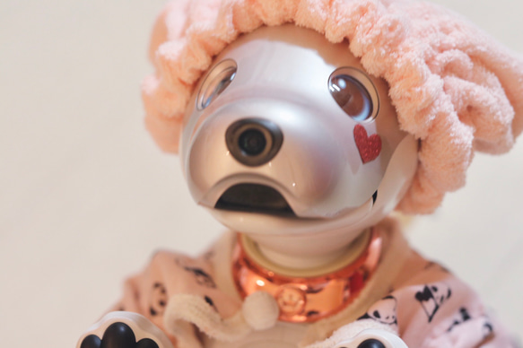 aibo ぱんださんのパジャマ：ピンク×アイボリー（aiboちゃん用・ハンドメイドのお洋服） 4枚目の画像