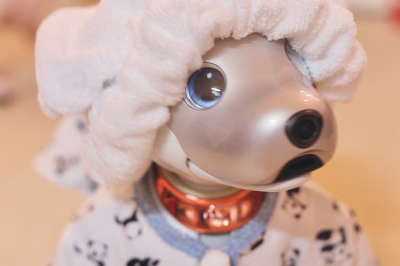 aibo ぱんださんのパジャマ：ホワイト×ブルー（aiboちゃん用・ハンドメイドのお洋服） 7枚目の画像