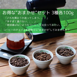 コーヒーお得なおまかせ100g×3種セット 【送料無料】スペシャルティ 焙煎士にお任せ きっと好みが見つかる 1枚目の画像