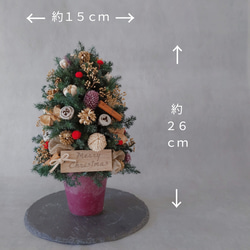 ✡今季完売✡［特集掲載］ちょっと大人なクリスマスツリー［Creema限定クリスマス2023］ 3枚目の画像