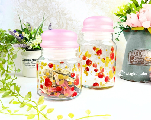 0deb06c1666008b06a05f0739485b0