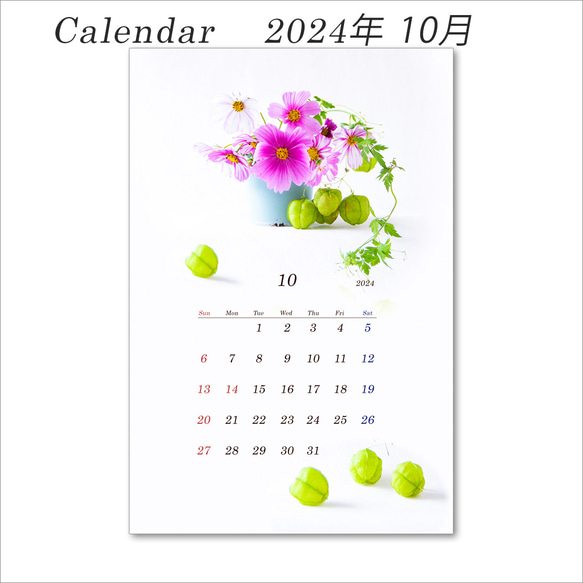 2024年　花のカレンダー　（はがきサイズ：縦置き）　12か月分　1セット 11枚目の画像