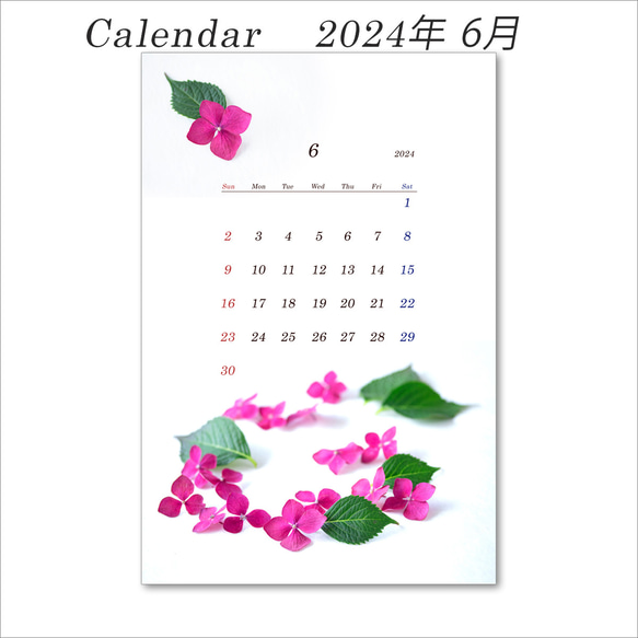 2024年　花のカレンダー　（はがきサイズ：縦置き）　12か月分　1セット 7枚目の画像