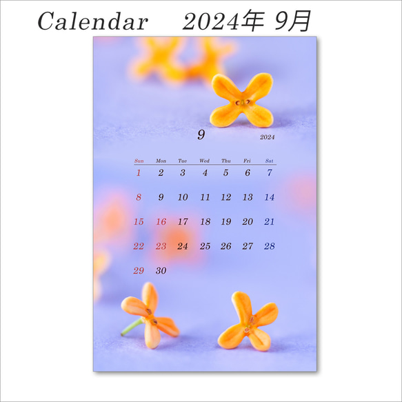 2024年　花のカレンダー　（はがきサイズ：縦置き）　12か月分　1セット 10枚目の画像