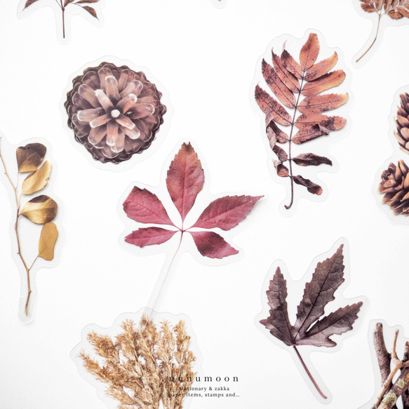 植物のフレークシール　40枚　autumn colors　[AU942] 1枚目の画像
