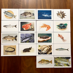 右脳が目覚める‼︎フラッシュカード　魚介類50枚 2枚目の画像