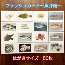 右脳が目覚める‼︎フラッシュカード　魚介類50枚 1枚目の画像