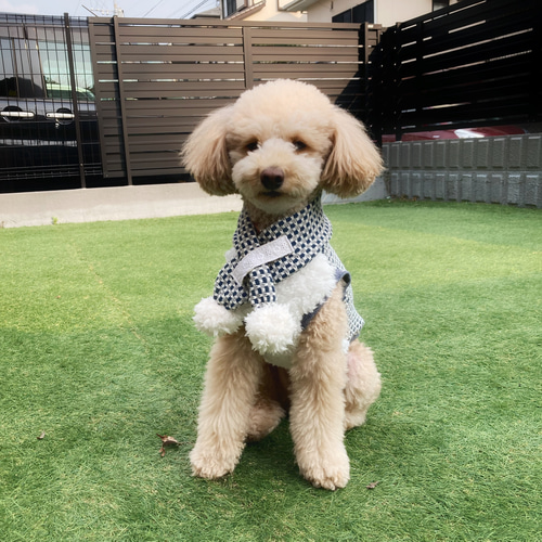 昭和レトロチックな「あそび着」青色 犬服ハンドメイド 犬の洋服