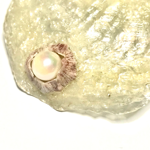 綺麗な貝と天然パールのペンダント Ｃ 2枚目の画像