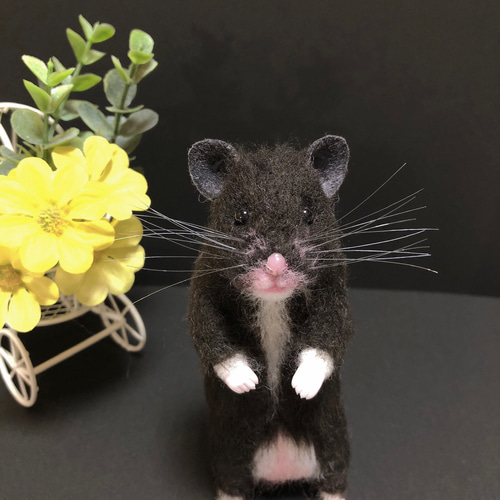 クロクマ ゴールデンハムスター 羊毛フェルト 羊毛フェルト *ゆったり