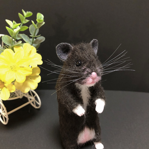 ノーマル バンデッド柄 ゴールデンハムスター 羊毛フェルト 羊毛