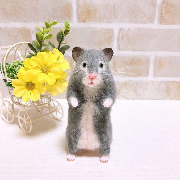 グレー系 セーブル ゴールデンハムスター 羊毛フェルト 羊毛