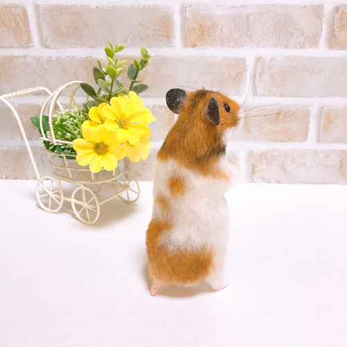 ノーマル バンデッド柄 ゴールデンハムスター 羊毛フェルト 羊毛
