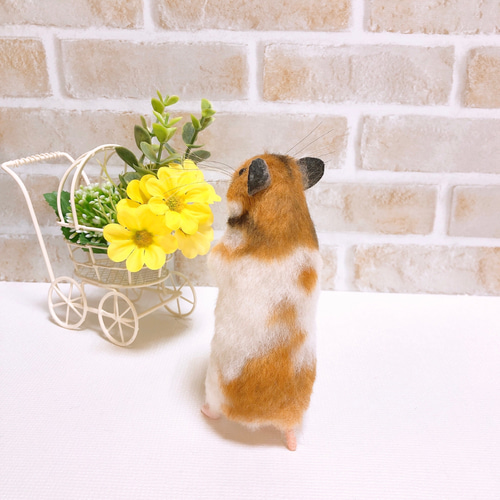 367 ゴールデンハムスター クリームバンデッド◇羊毛フェルト タマ座布団 ノーマルバンデッド ゴールデンハムスター 羊毛