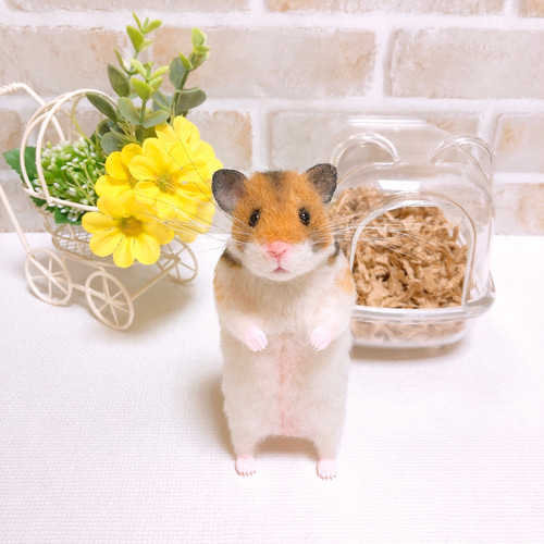 367 ゴールデンハムスター クリームバンデッド◇羊毛フェルト 367 ゴールデンハムスター クリームバンデッド◇羊毛フェルト 367