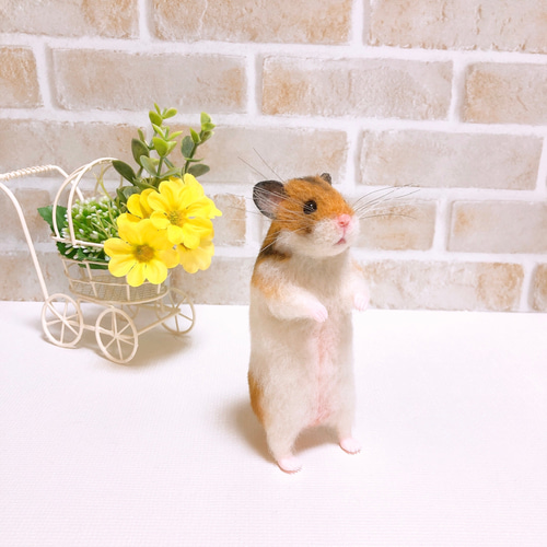 ノーマル バンデッド柄 ゴールデンハムスター 羊毛フェルト 羊毛