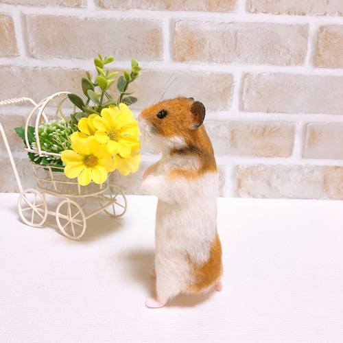 ノーマル バンデッド柄 ゴールデンハムスター 羊毛フェルト 羊毛