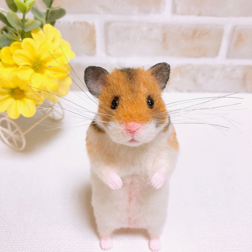 ノーマル バンデッド柄 ゴールデンハムスター 羊毛フェルト 羊毛