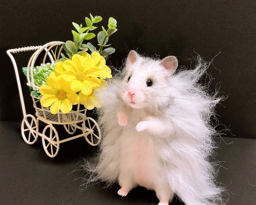 1a95ec3135f2c0f38c61807a5d65a9