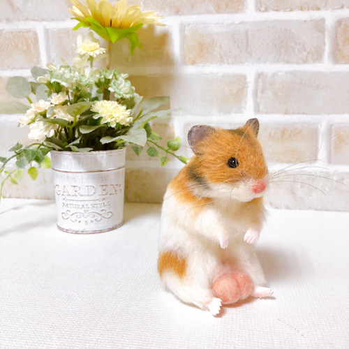 タマ座布団 ノーマルバンデッド ゴールデンハムスター 羊毛フェルト