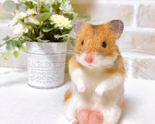 6abbcd07fd926c2b99d6597848613d